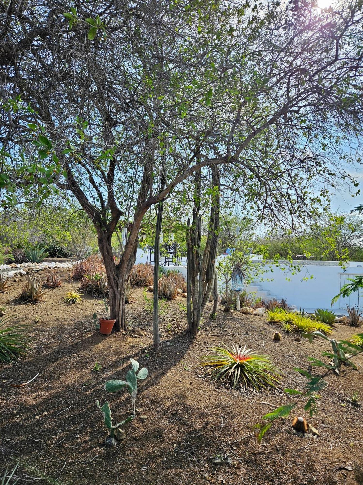 Villa San Sebastian Curacao Fontein Ngoại thất bức ảnh